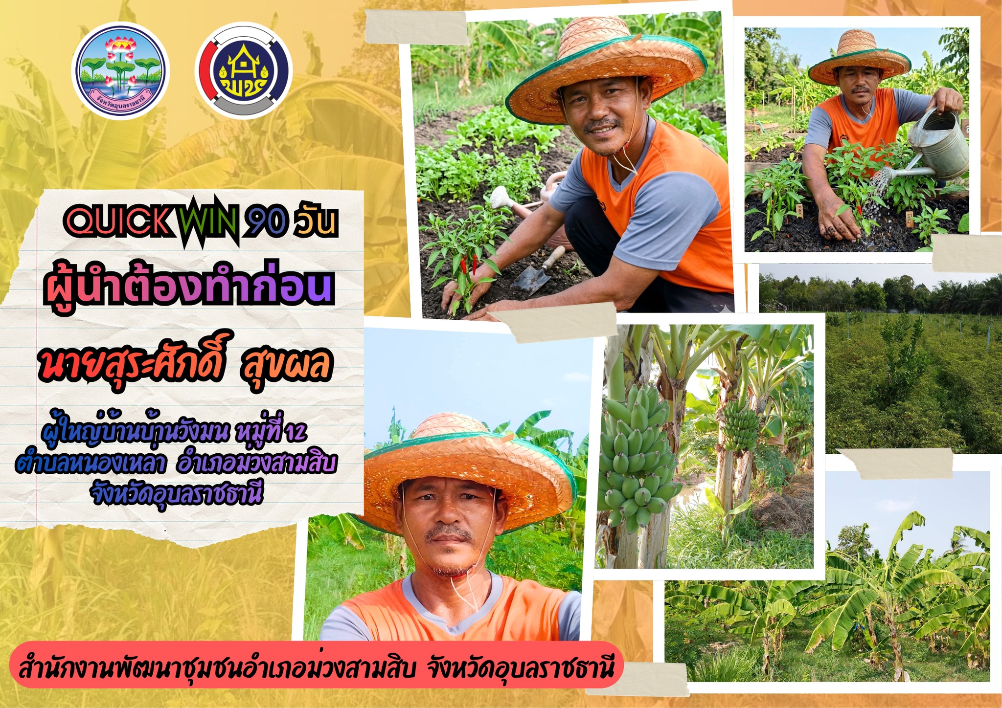 พช.ม่วงสามสิบ ขับเคลื่อนกิจกรรม “เริ่มที่ตัวเรา” ปฏิบัติการ Quick Win 90 วัน  ปลูกผักสวนครัว สร้างความมั่นคงทางอาหารตามวิถีพอเพียง